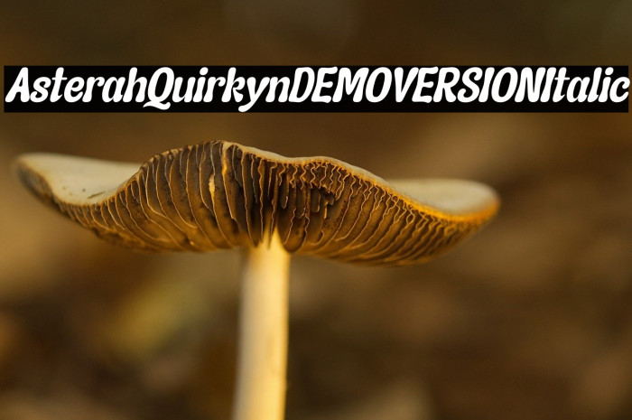Asterah Quirkyn DEMO VERSION Italic Example 2