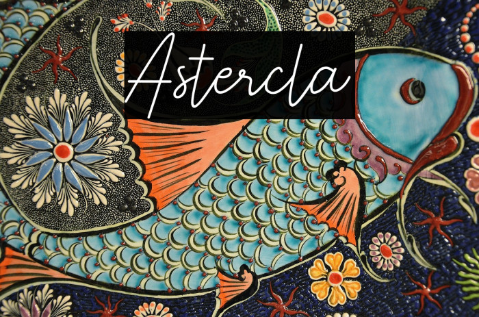 Astercla Example 2