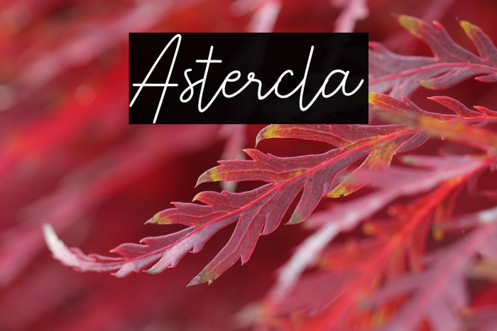 Astercla Example 3