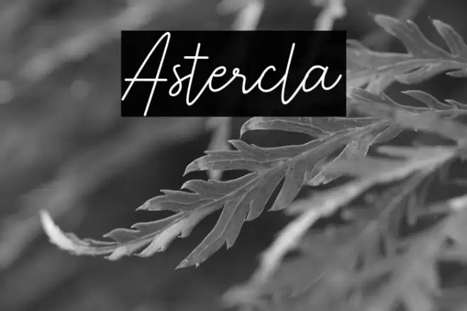 Astercla Font examples