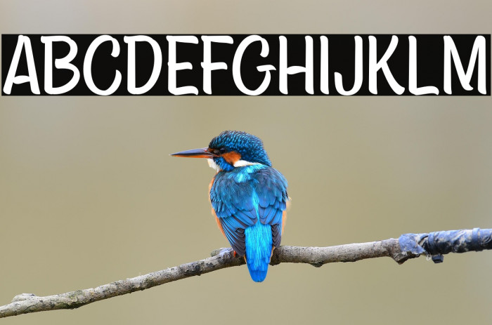 AsteriaRoyaltyDEMO Example 1