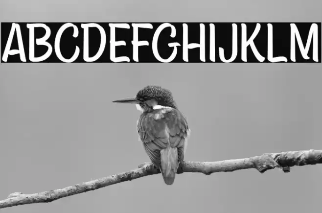 AsteriaRoyaltyDEMO Font examples