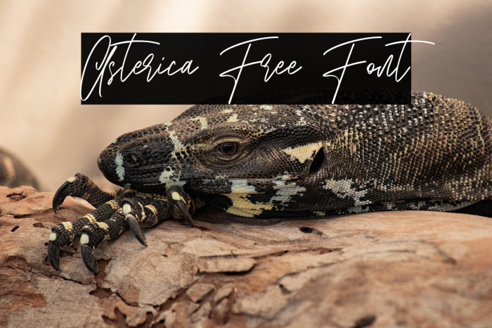 Asterica Free Font Example 1