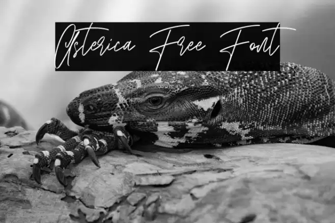 Asterica Free Font Font examples