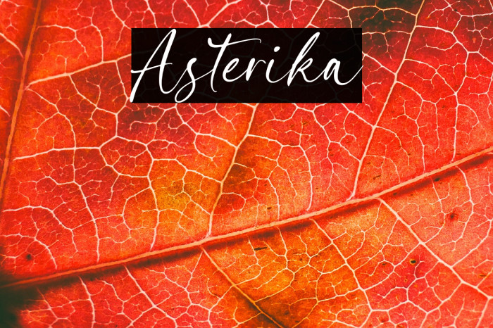 Asterika Example 2