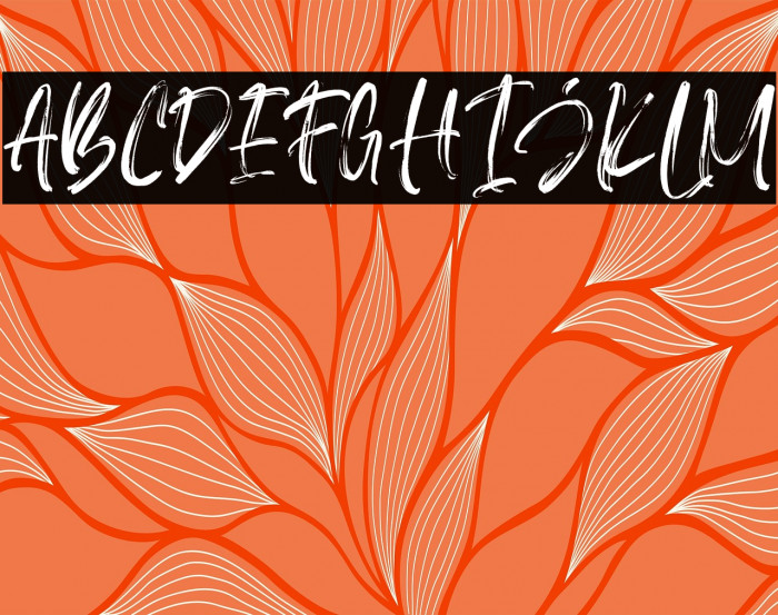 Asteriska-Personal Use Regular Example 1