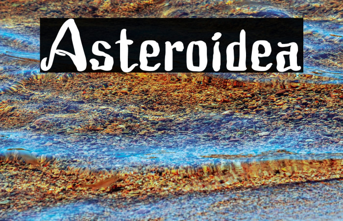 Asteroidea Font examples