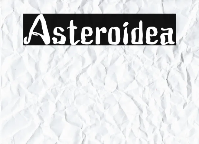 Asteroidea Example 3