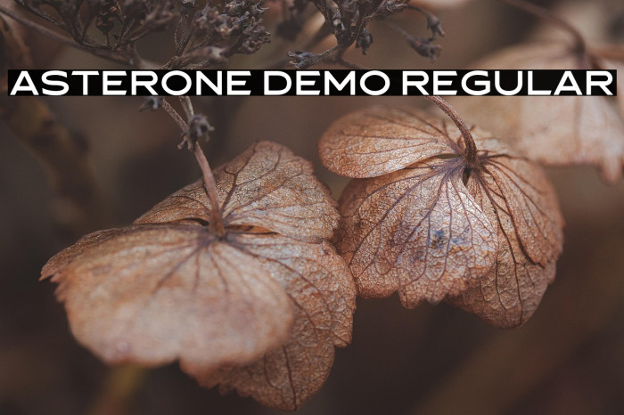 Asterone DEMO Regular Example 1