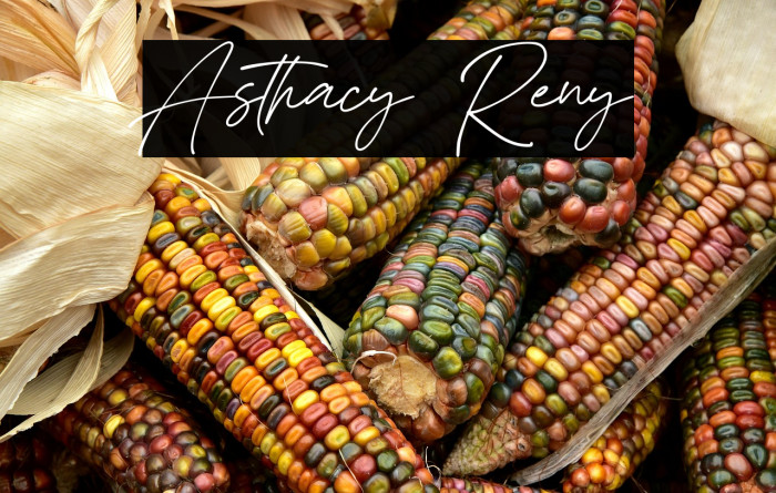 Asthacy Reny Example 1