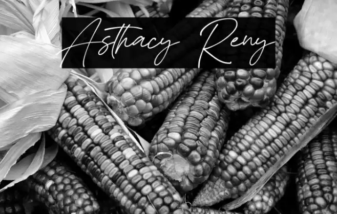 Asthacy Reny Font examples