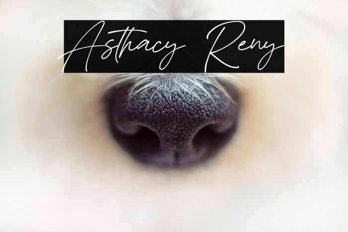 Asthacy Reny Example 3