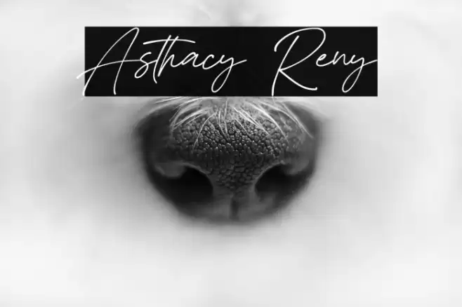 Asthacy Reny Font examples