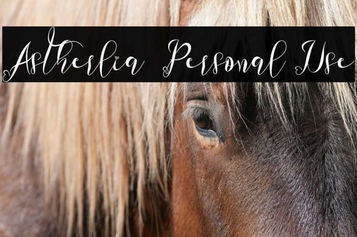 Astherlia - Personal Use Example 1