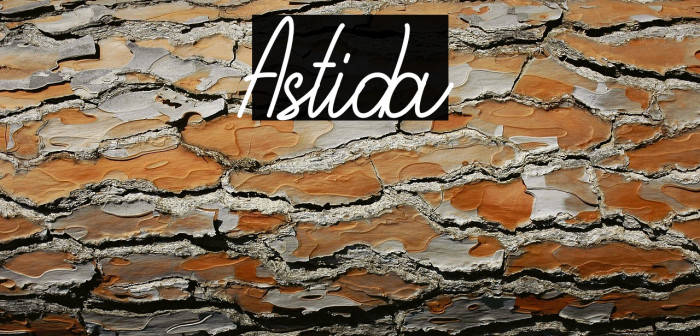 Astida Example 3