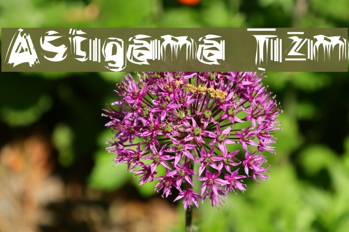 Astigama Tizm Fonte examples