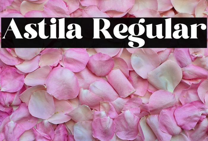 Astila Regular Example 2