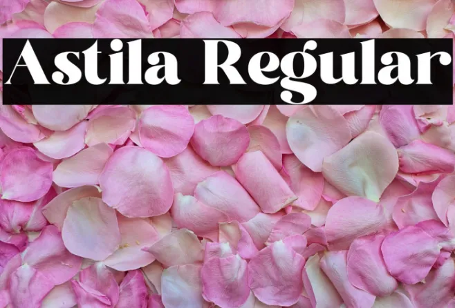 Astila Regular Example 2