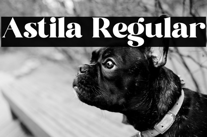 Astila Regular Example 3