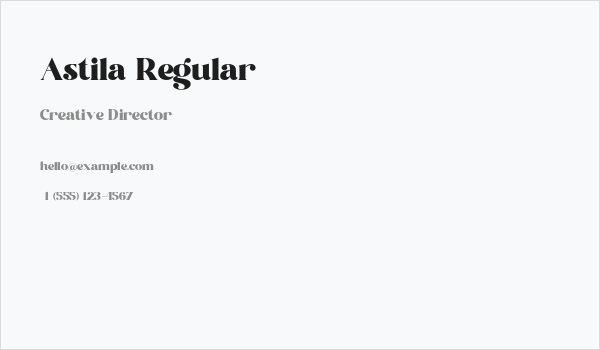 Astila Regular Business Card
