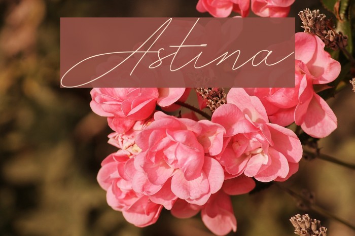 Astina Fonte examples