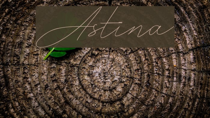 Astina Fonte examples