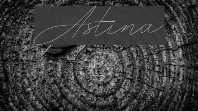 Astina Font examples