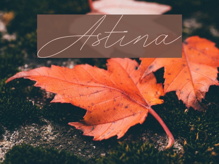 Astina Fonte examples