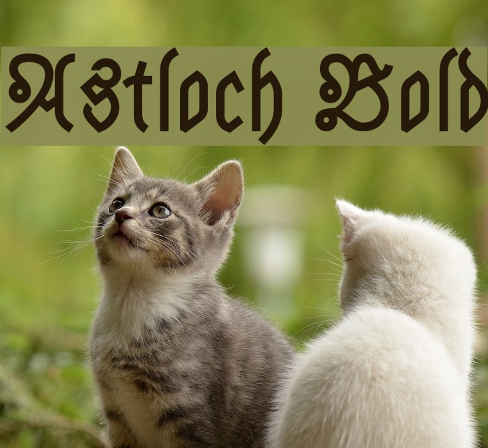 Astloch Bold Example 3