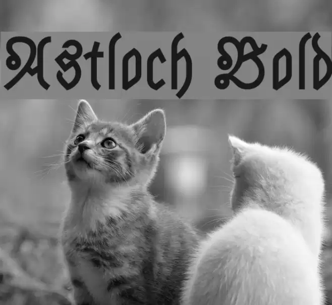 Astloch Bold Font examples