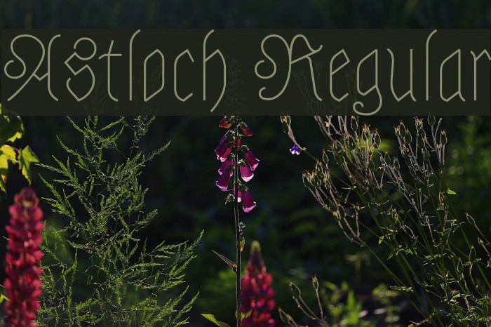 Astloch Regular Font examples