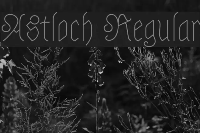 Astloch Regular Font examples