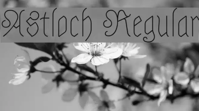 Astloch Regular Font examples
