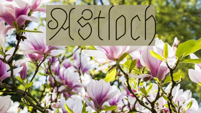 Astloch Font examples