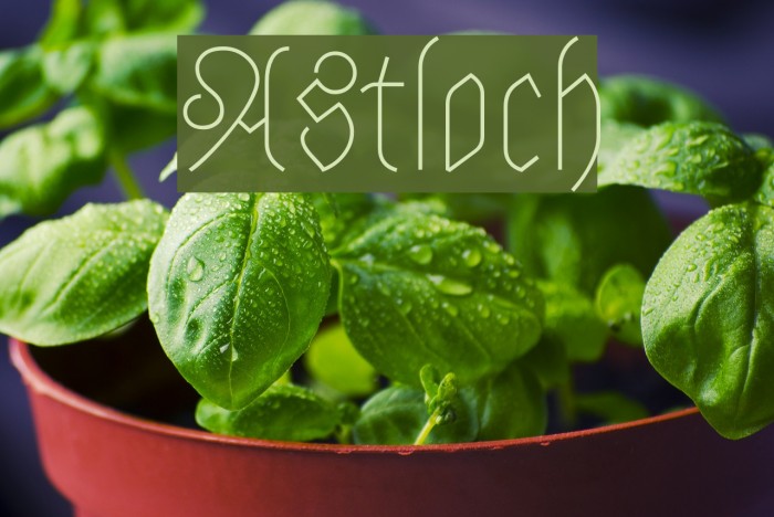 Astloch Font examples