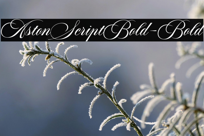 AstonScriptBold-Bold Example 3