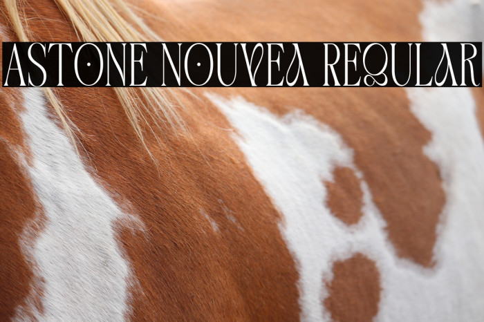 Astone Nouvea Regular Example 1