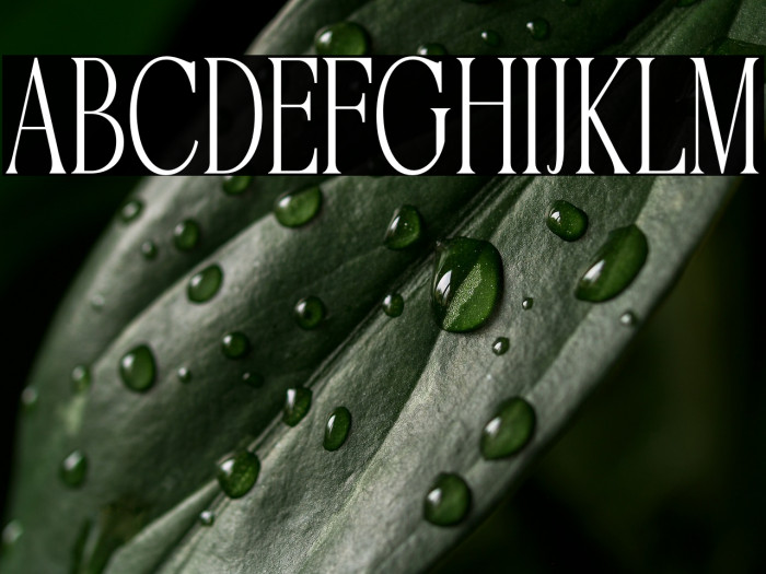 AstoneNouvea-Regular Example 2