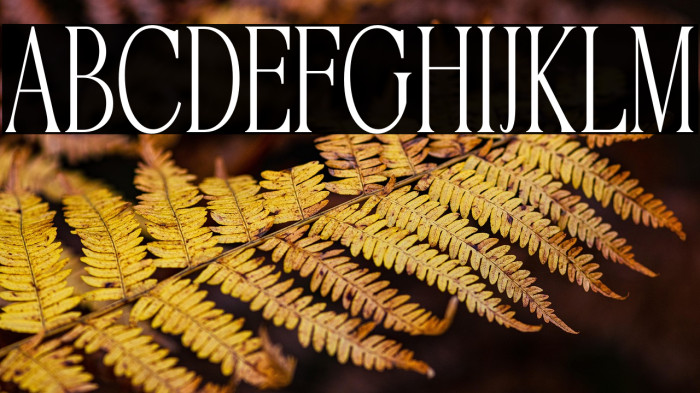 AstoneNouvea-Regular Example 3