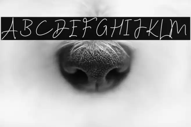 Astonish Font examples