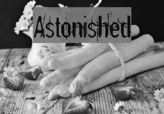 Astonished Font examples