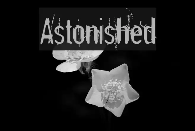 Astonished Font examples