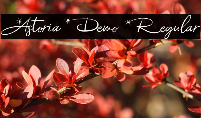 Astoria Demo Regular Example 1