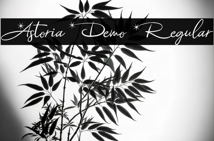 Astoria Demo Regular Example 3