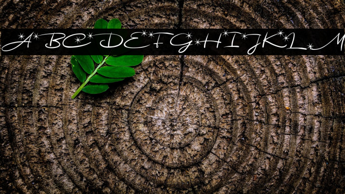 Astoria Demo Example 2