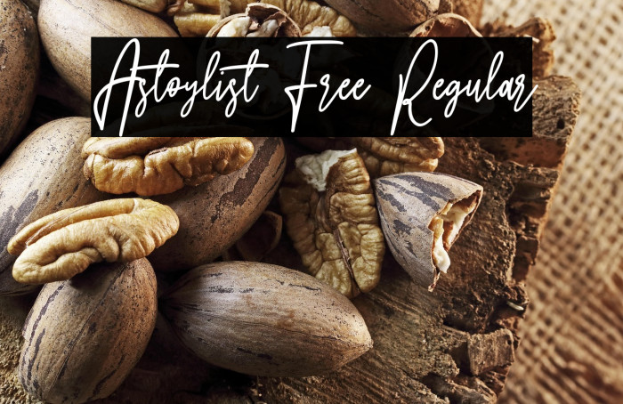 Astoylist Free Regular Example 2