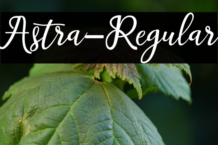 Astra-Regular Example 1