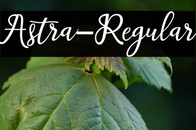 Astra-Regular Example 1