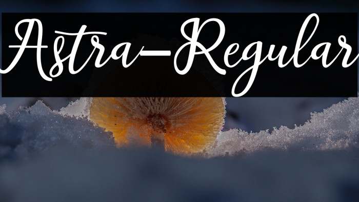 Astra-Regular Example 2