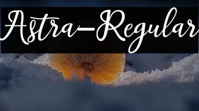 Astra-Regular Example 2